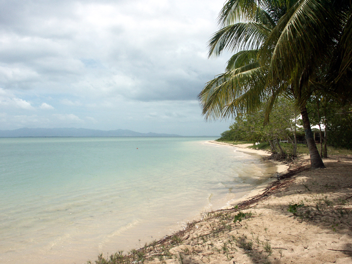 25 - Mangrove 032.jpg - DCF 1.0